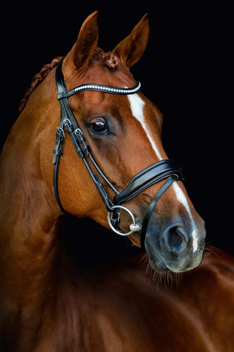 Schockemohle Malibu Anatomical Patent Dressage Bridle in Black